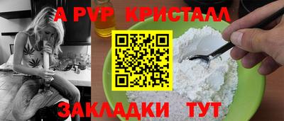 a pvp Кингисепп