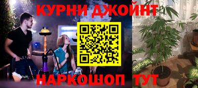 a pvp Кингисепп