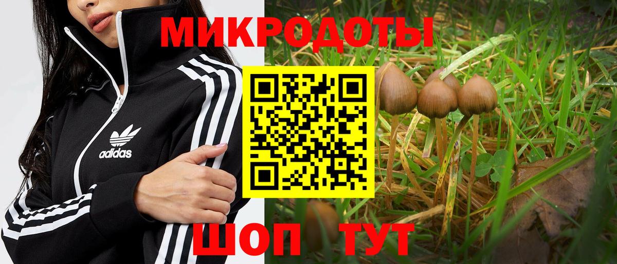 цена   Галлюциногенные грибы Psilocybe  Вход с VPN  Кохма 